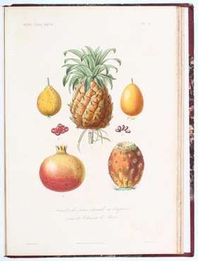 Dupuis, Règne végétal. 17 Bde.