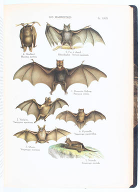 Coutiere, Le monde vivant. 5 Bde.
