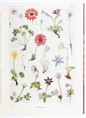 Bonnier, Flore complète. 7 Bde.