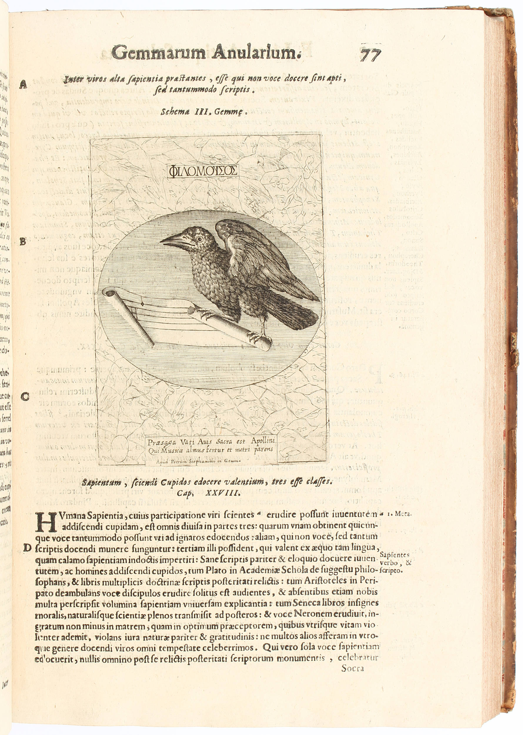 Licetus, Hieroglyphica, sive antiqua schmeta gemmarum