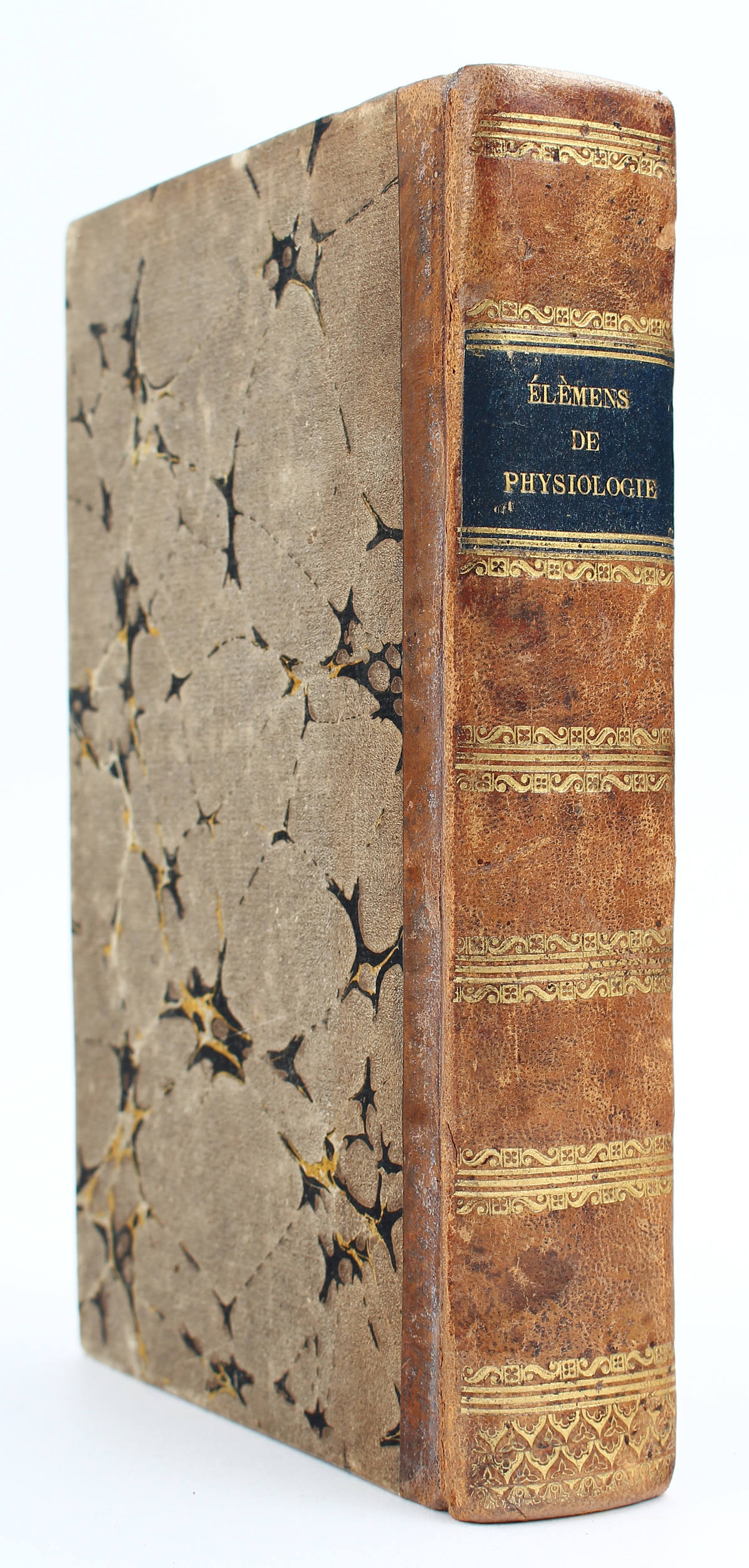 Richerand, Nouveaux élémens de physiologie