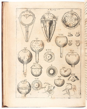 Kepler, Ad Vitellionem
