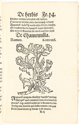Macer Floridus, De virtutibus herbarum