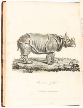 Bruce, Travels to the Nile. 5 Bde.