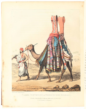 Lyon, Travels in Northern Africa