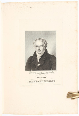 Gallerie der Zeitgenossen