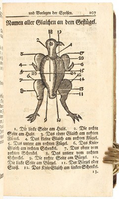 Neues Lehrreiches Magazin. 2 Bde.