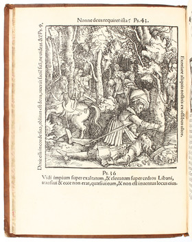 Hutten, Hoc in volumine