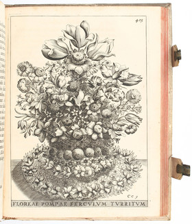 Ferrari, Flora. 1646