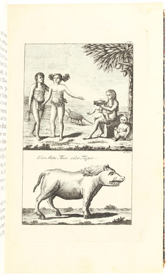 (Prudhomme), Reise nach Guiana