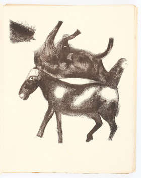 Goll/Chagall, Journal d'un cheval