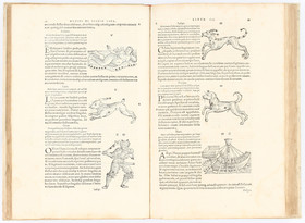 Hyginus, Fabularum liber