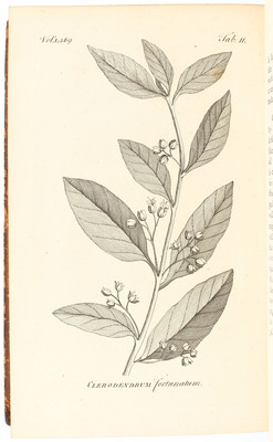 Osbeck, Voyage to China. 2 Bde.