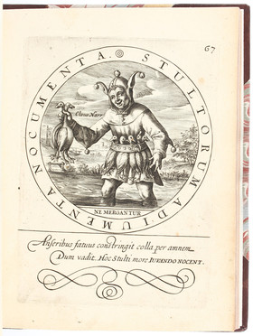 Rollenhagen/Heyns, Emblemata