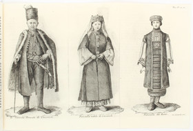 Fortis, Viaggio in Dalmazia