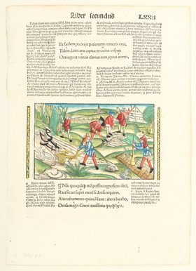 Konvolut Buchholzschnitte. 13 Bll.