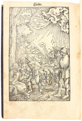 Biblia suecica. Uppsala 1540