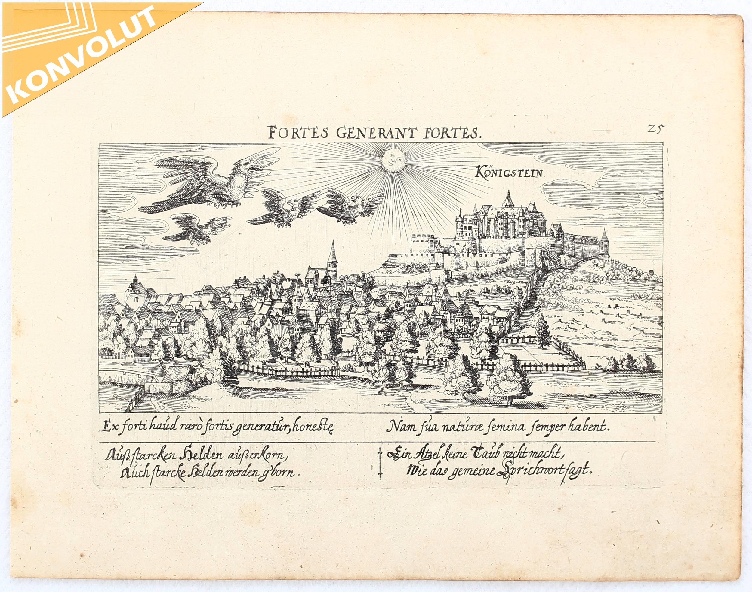 Königstein. / 4 Bll. (Meisner; 1 ger.)