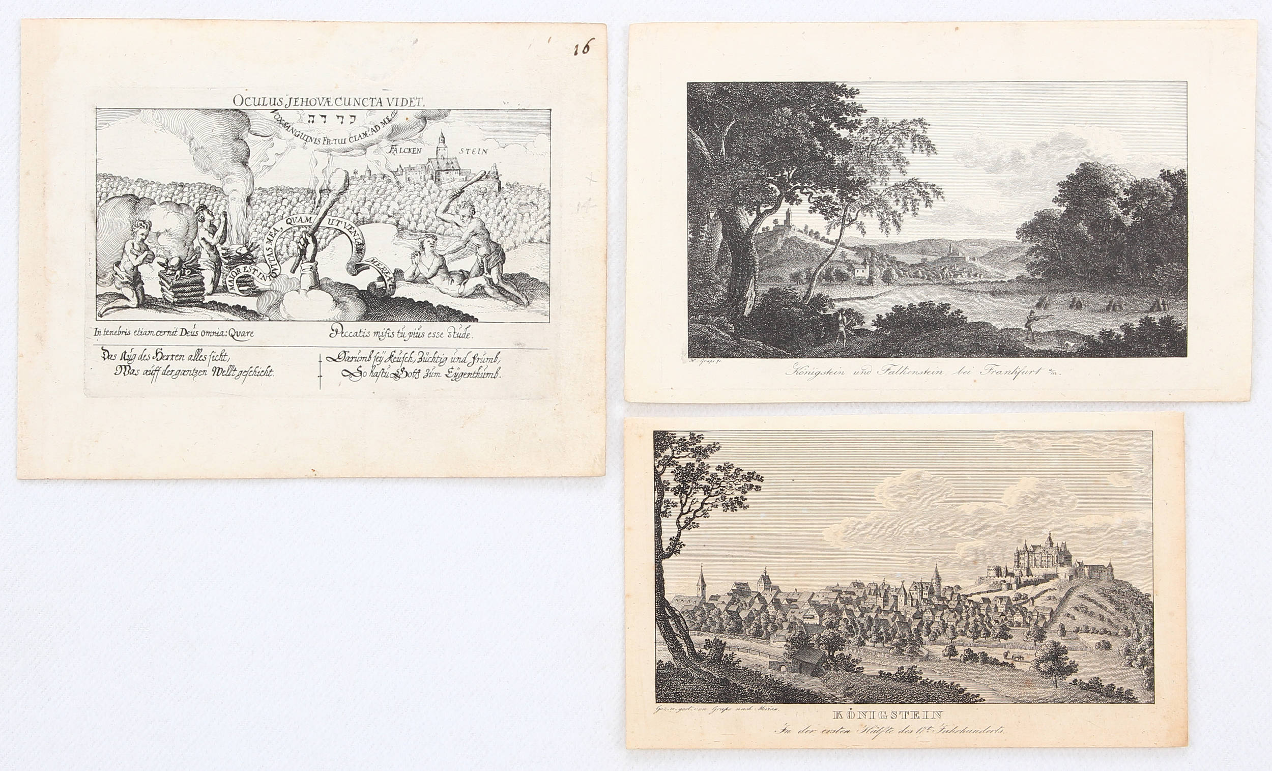 Königstein-Oberlahnstein. (Merian) / 9 Bll.