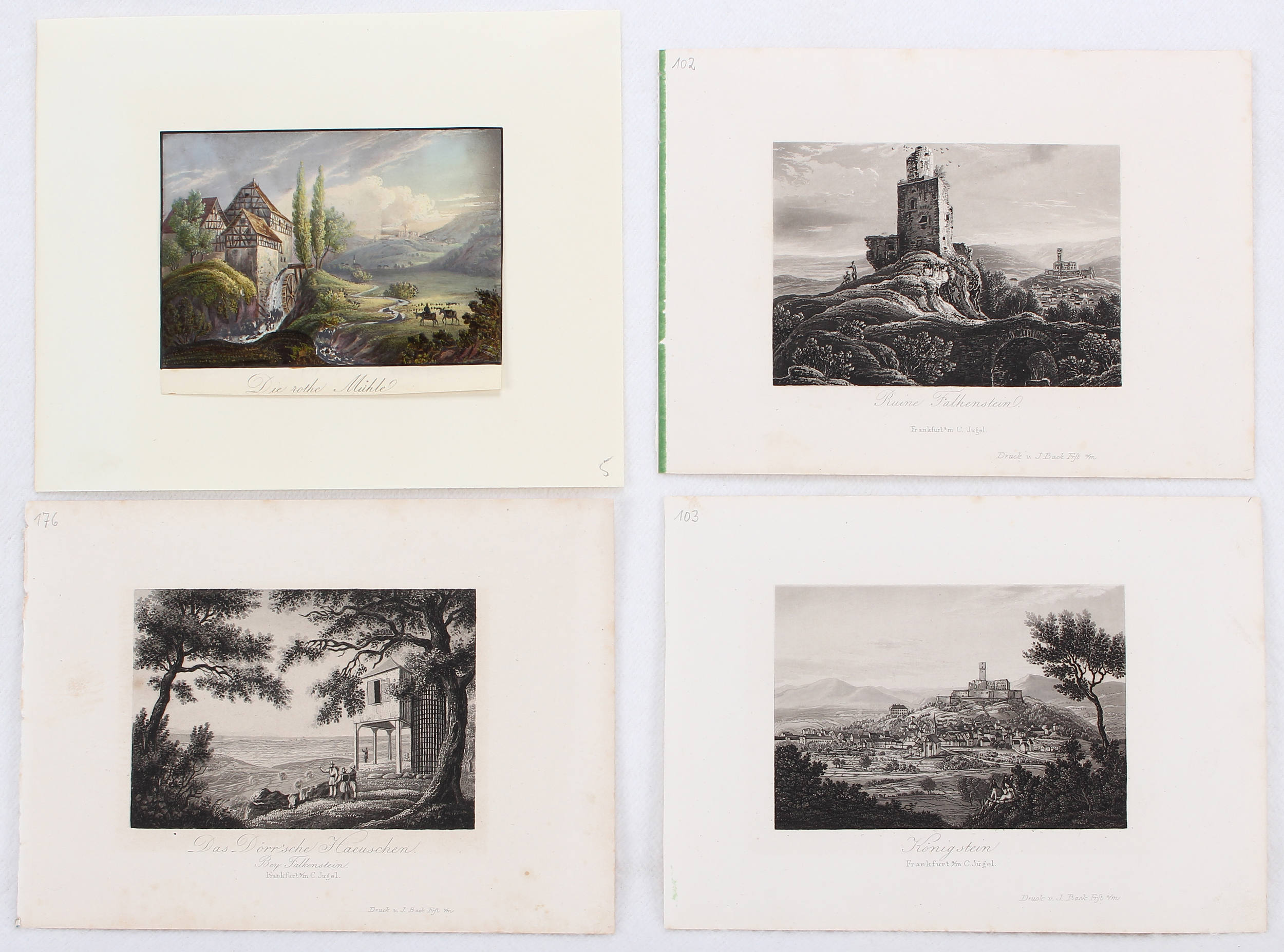 Königstein u. Falkenstein. 11 Bll. Jügel / 23 Bll.