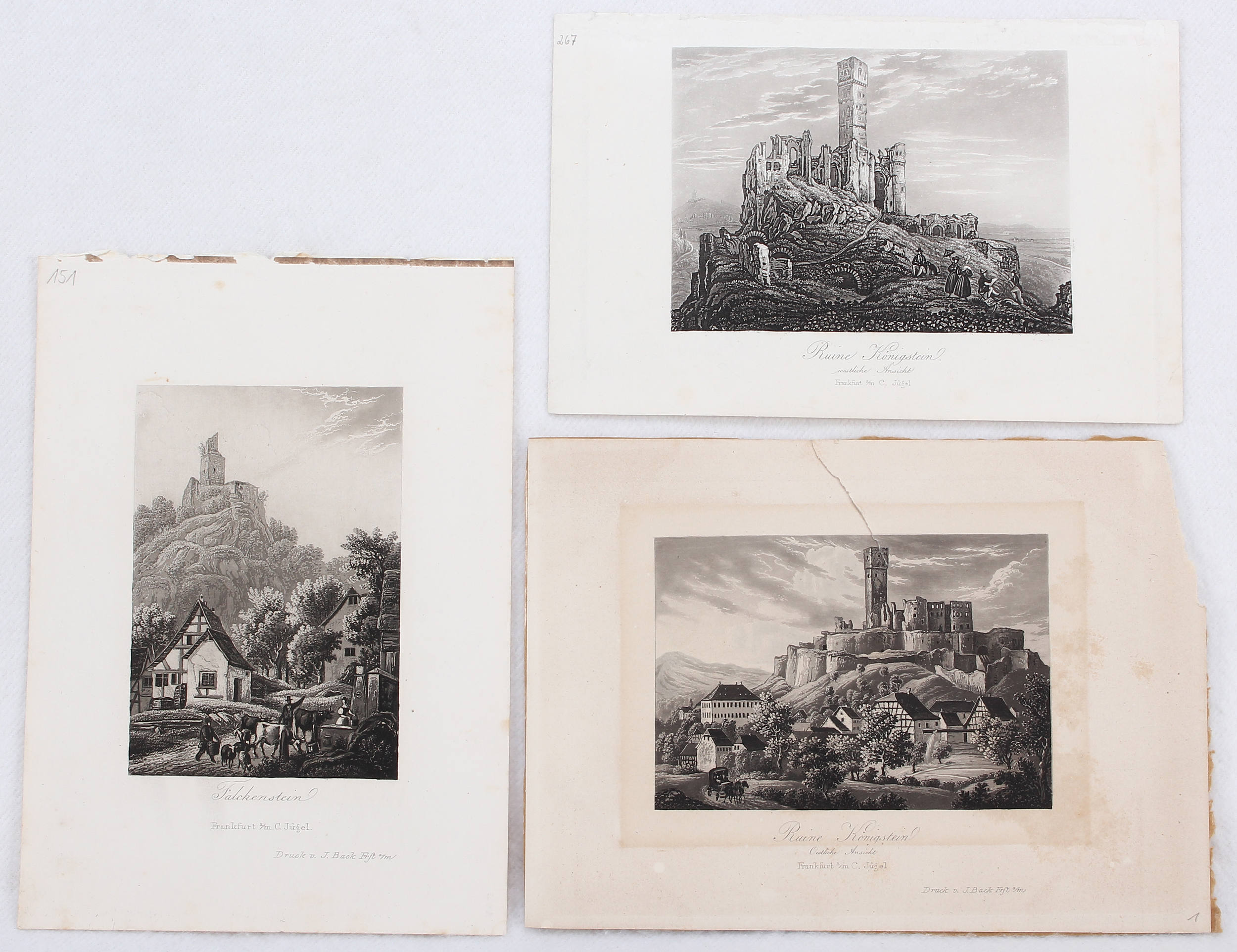 Königstein u. Falkenstein. 11 Bll. Jügel / 23 Bll.