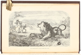 Livingstone, Missionary travels