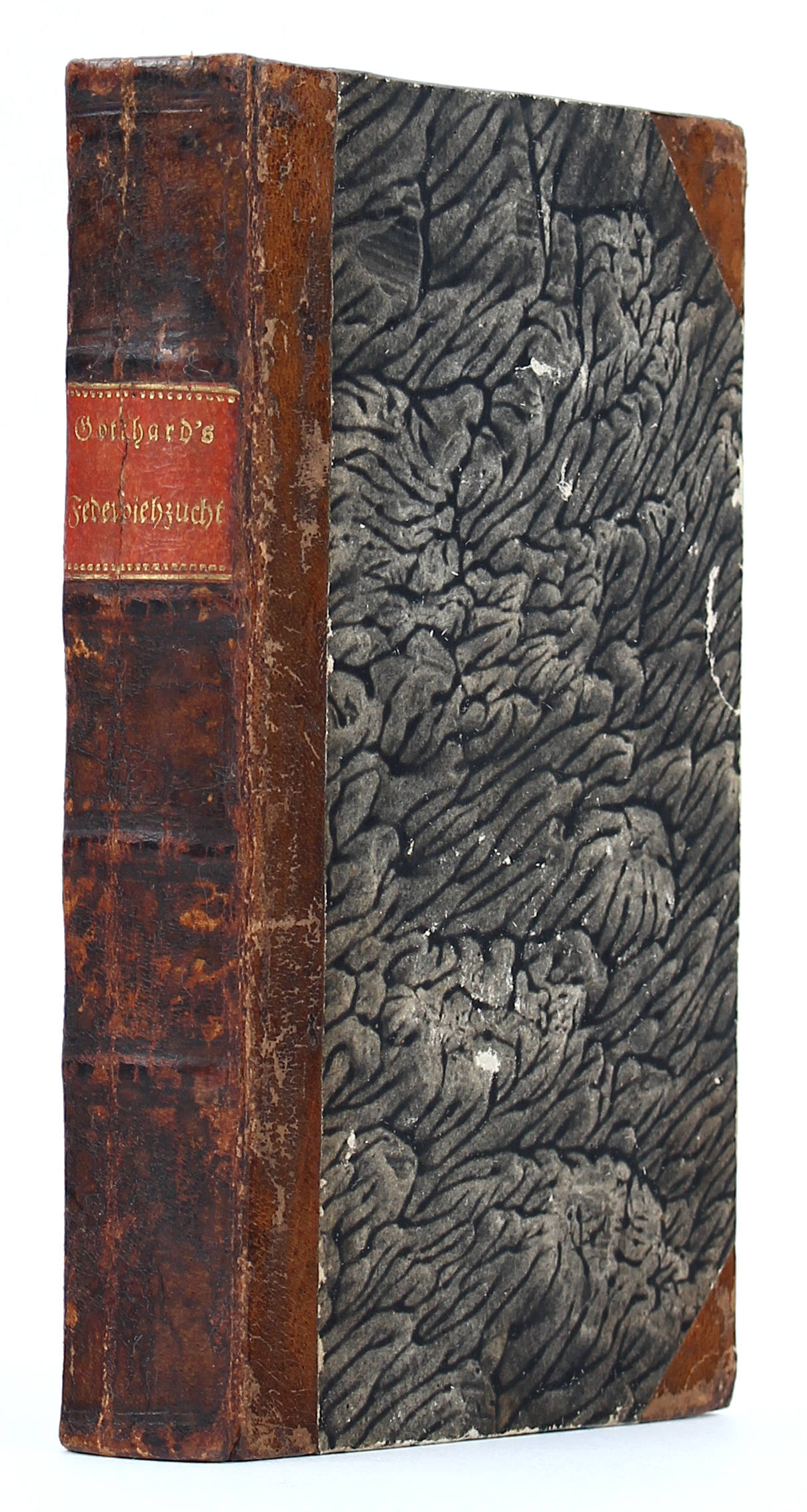 Gotthard, Federviehzucht