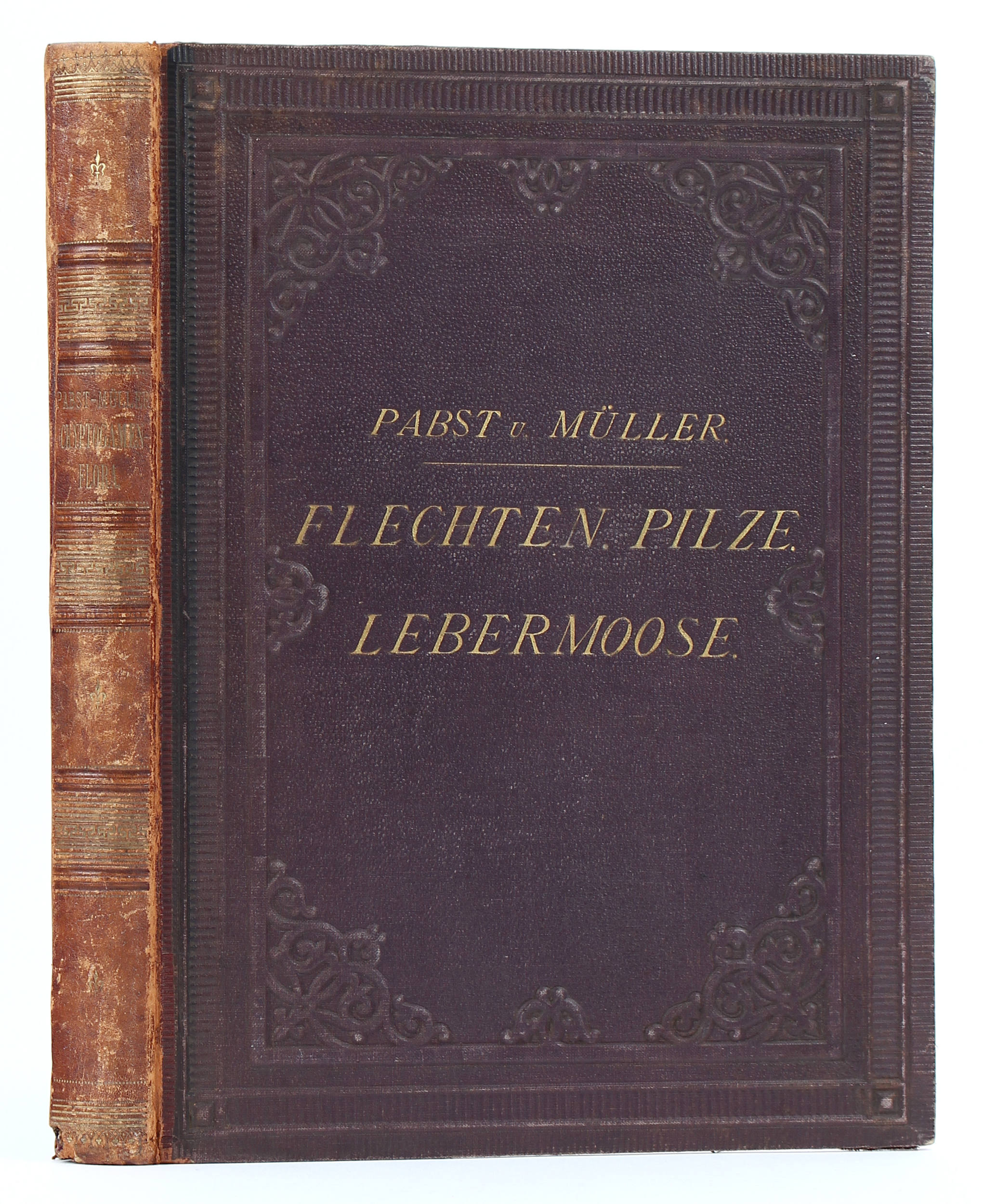 Pabst/Müller, Cryptogamen-Flora