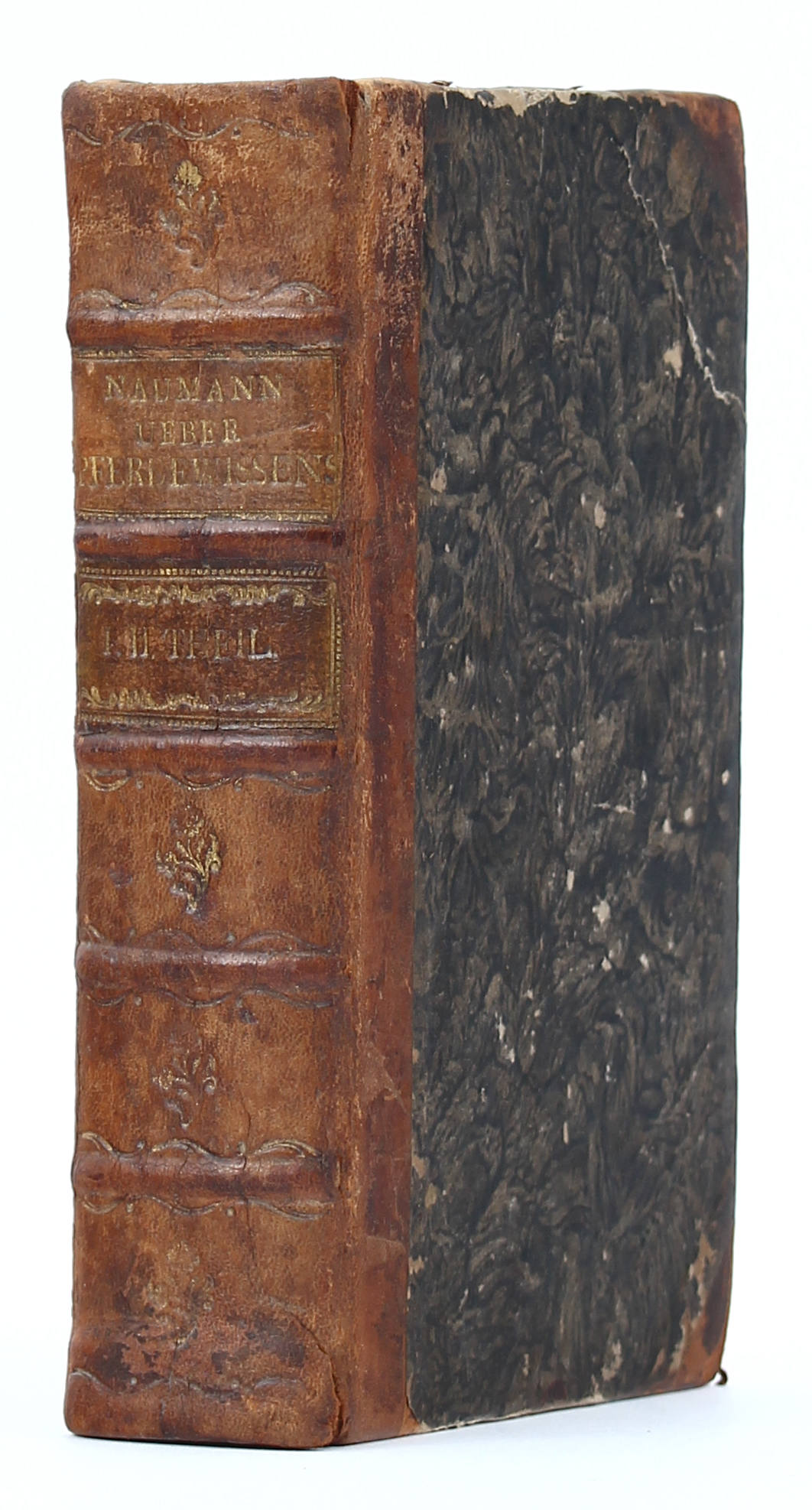 Naumann, Pferdewissenschaft