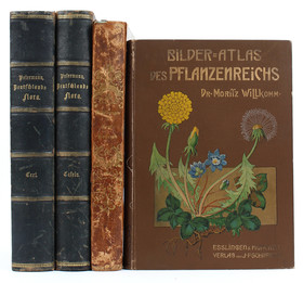 Petermann, Deutschlands Flora. / 4 Bde.