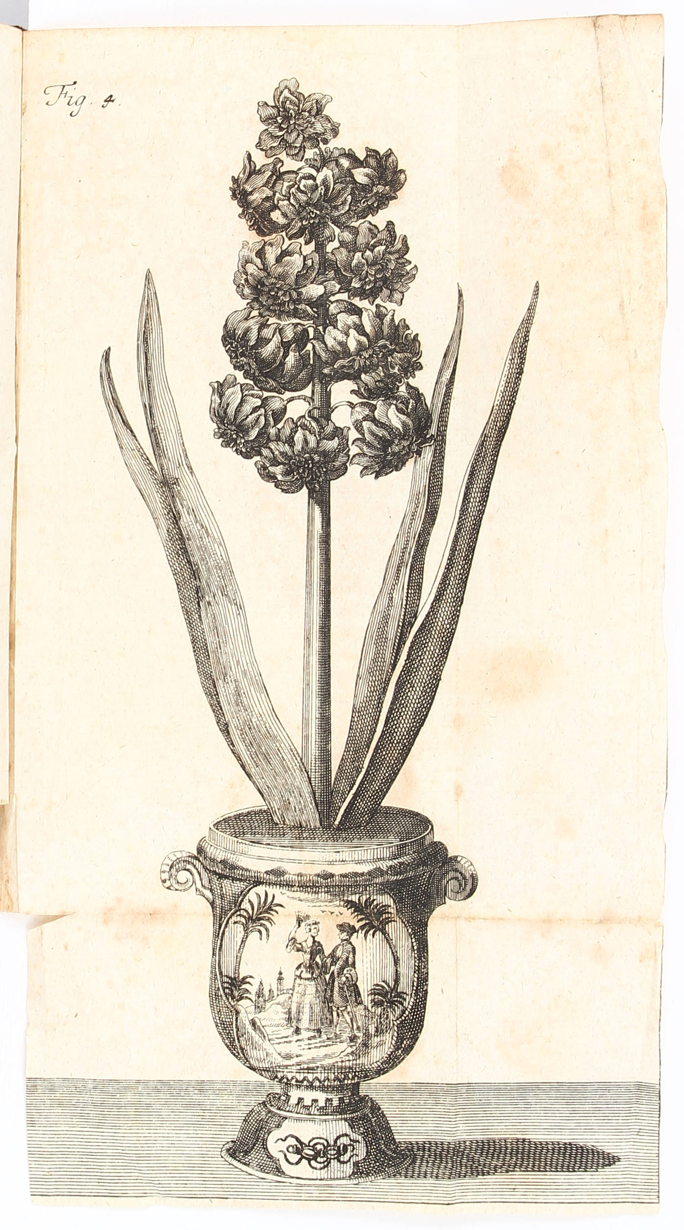 Voorhelm, Hyacinthen + 2 Beibände