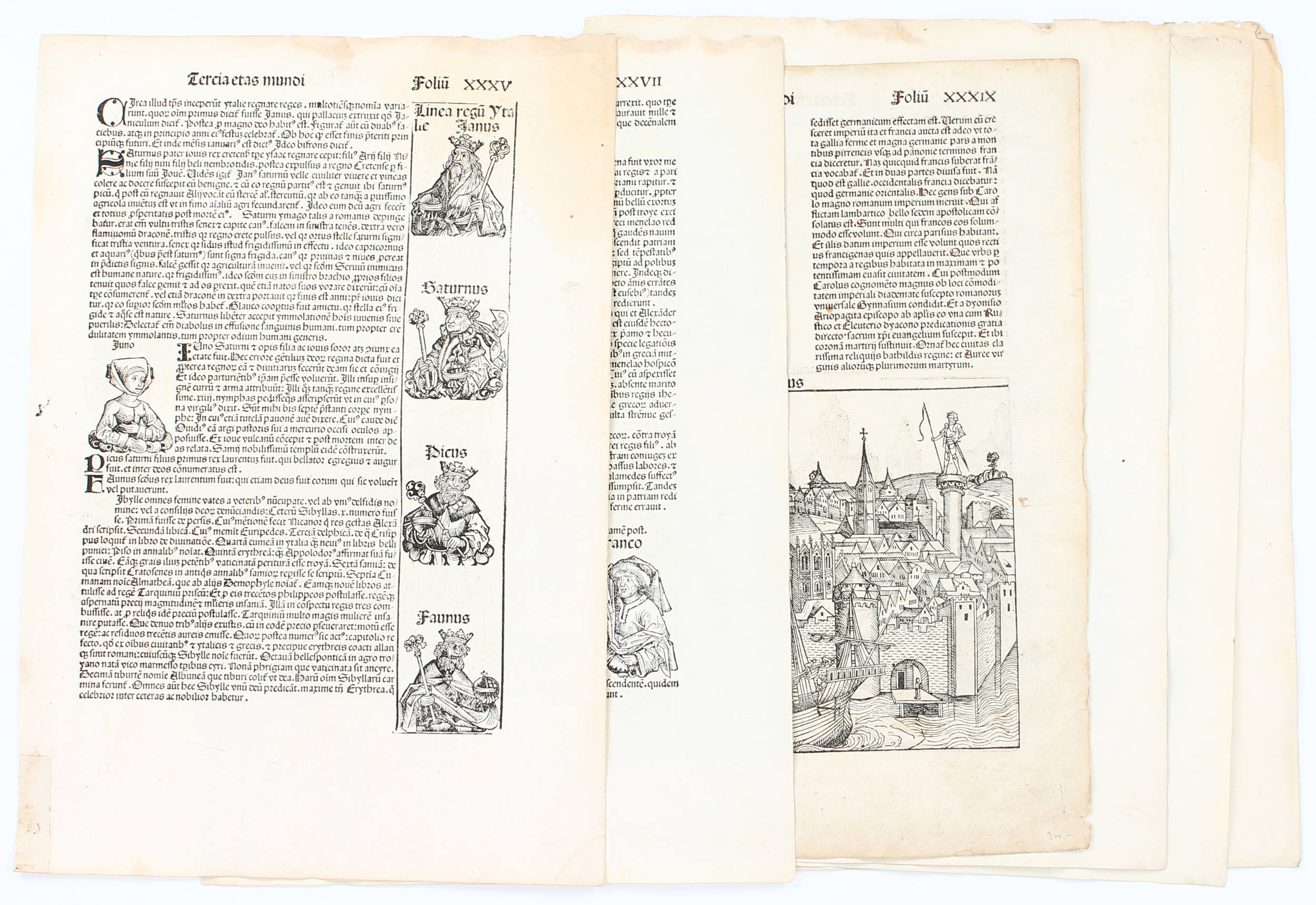 Schedel (lat.), 6 Bll. (35ff)