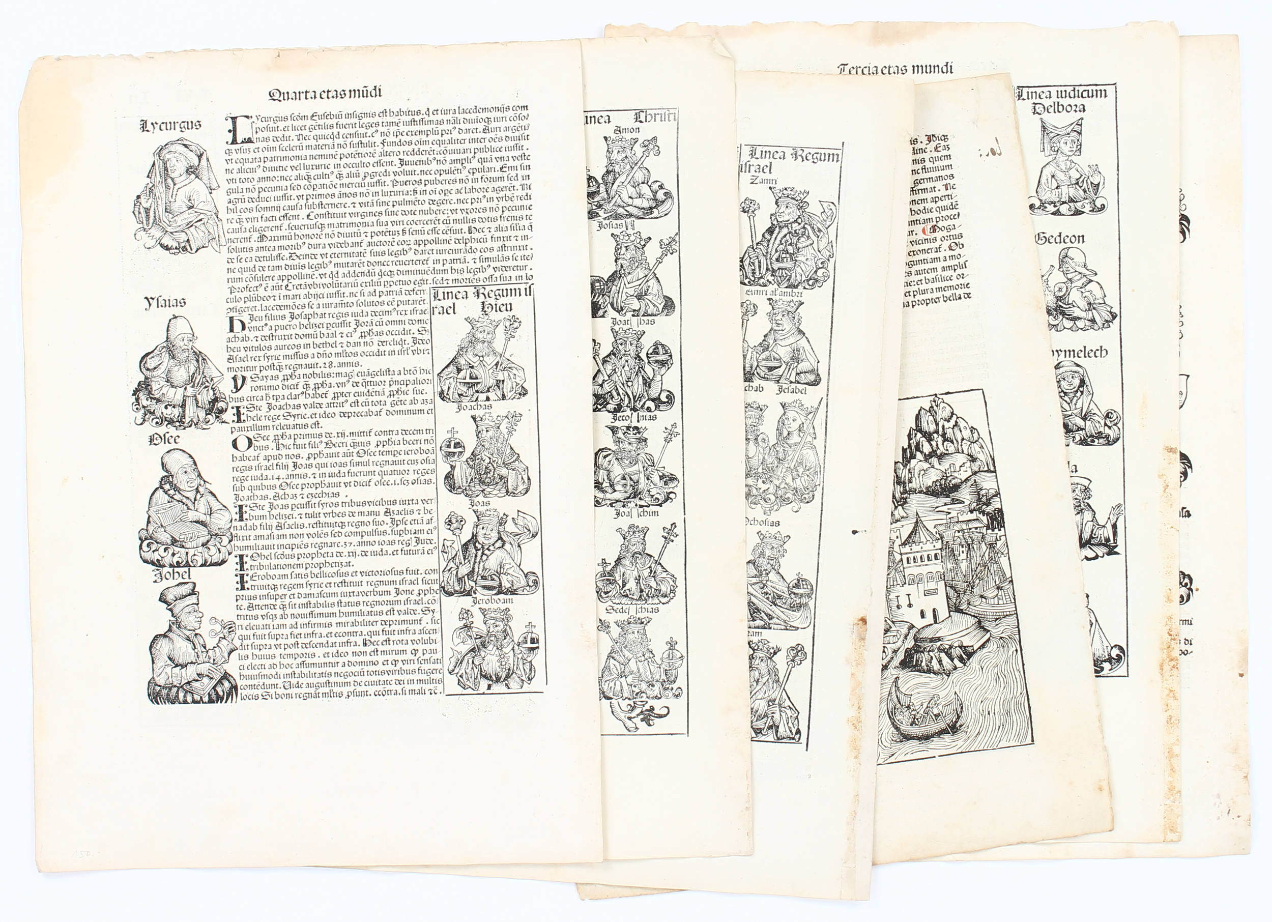 Schedel (lat.), 6 Bll. (35ff)