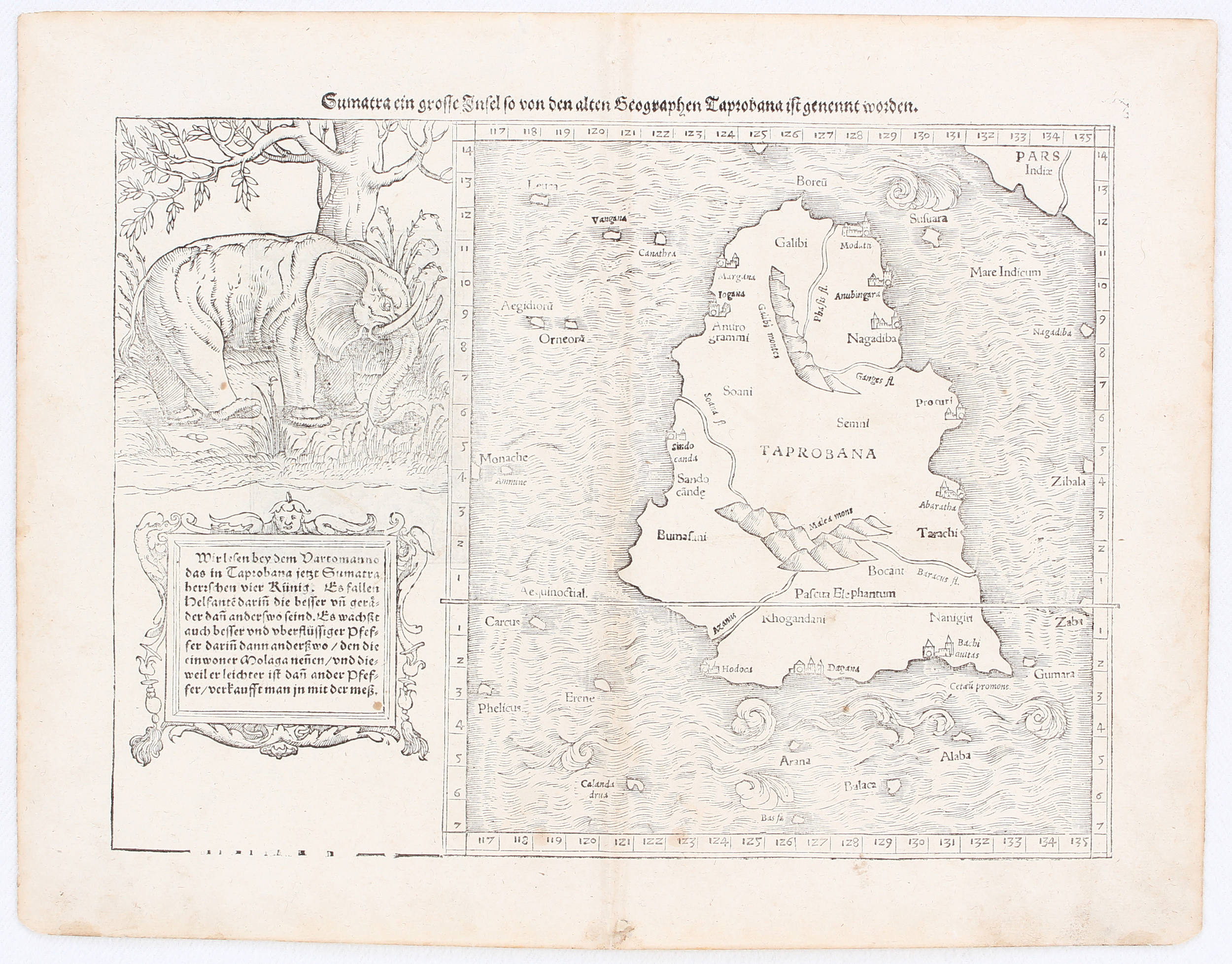 Sumatra. (Münster)