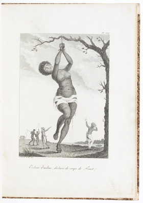 Stedman, Voyage a Surinam. 4 Bde.