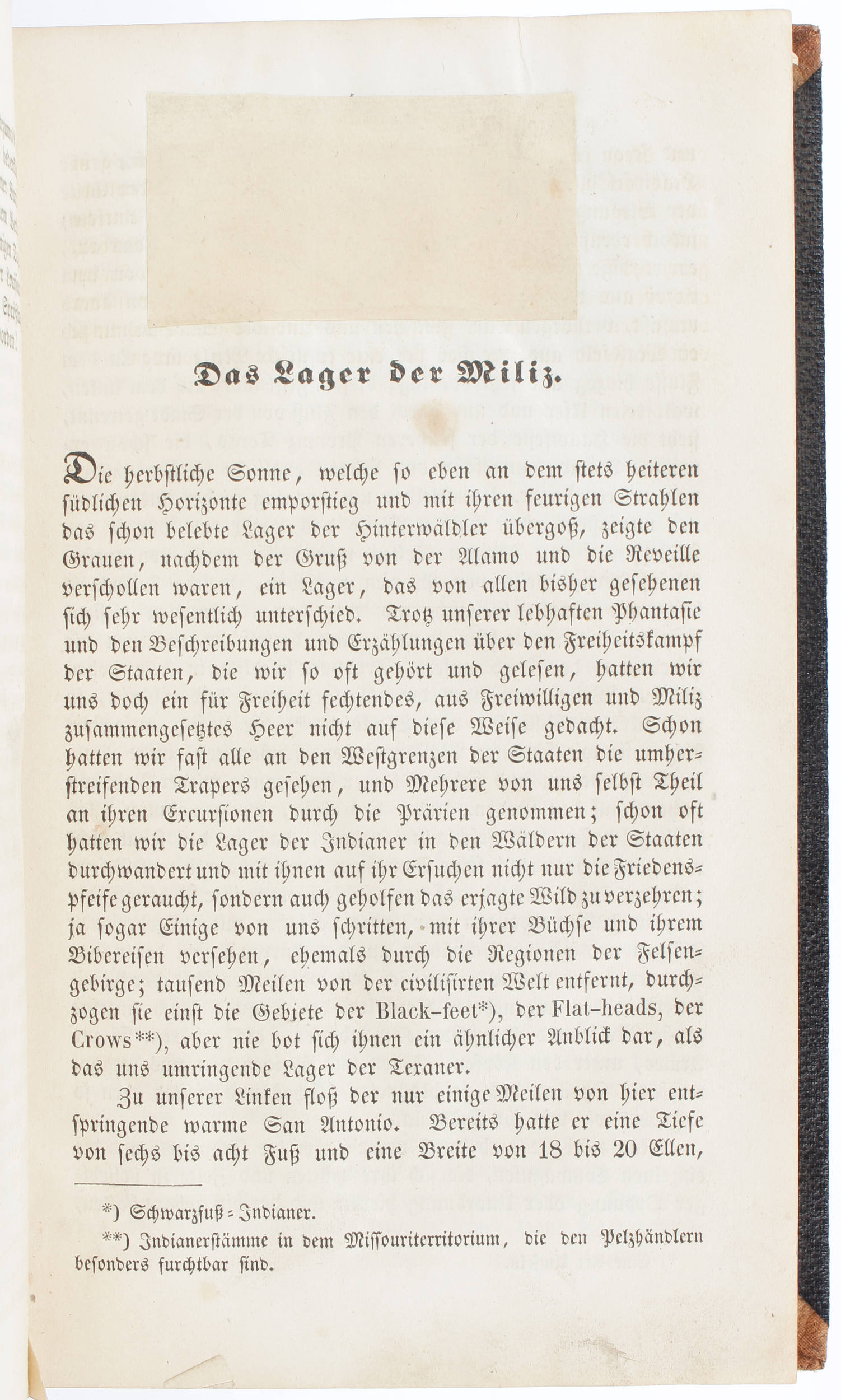 Ehrenberg, Texas und seine Revolution