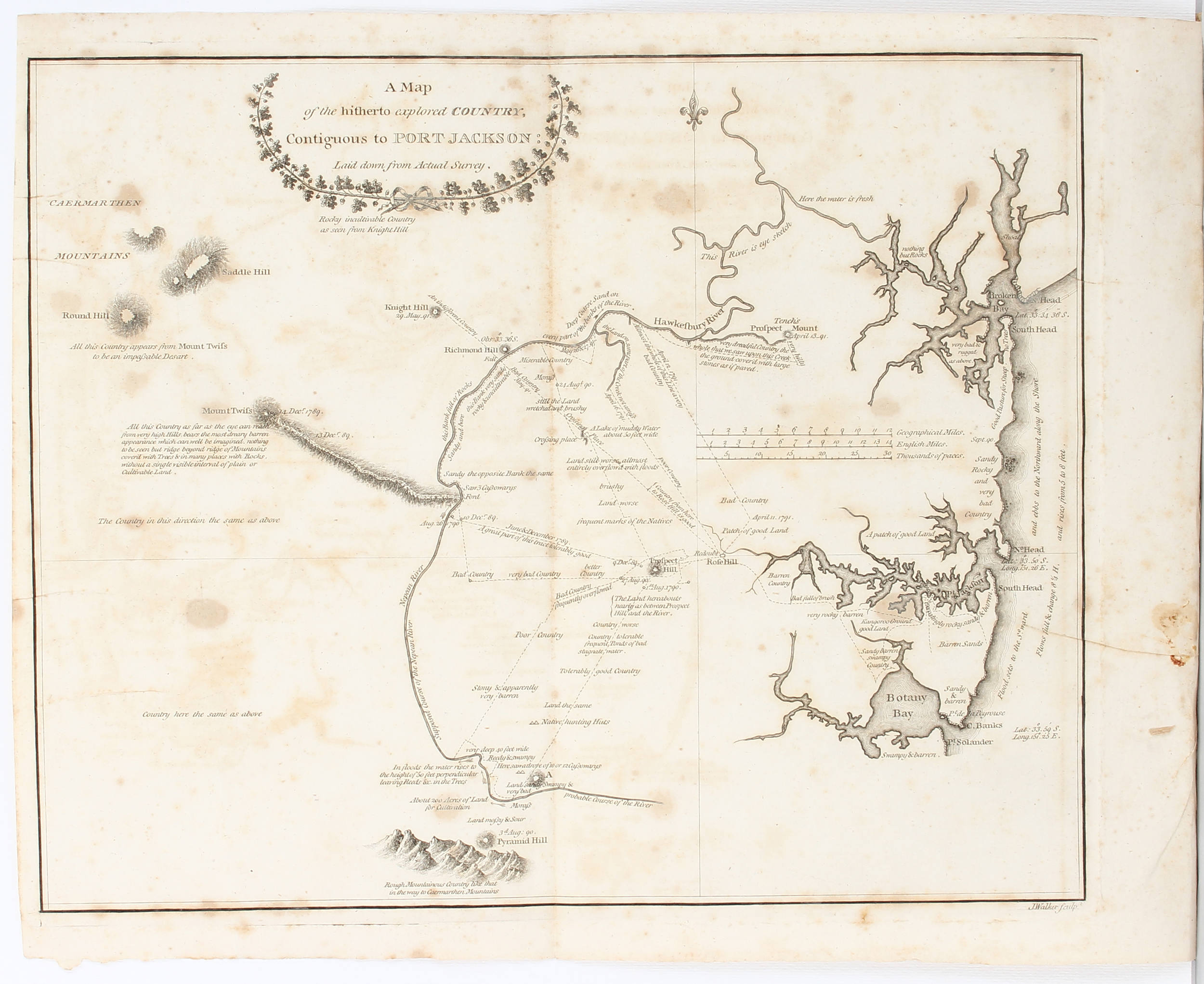 Tench, Settlement at Port Jackson