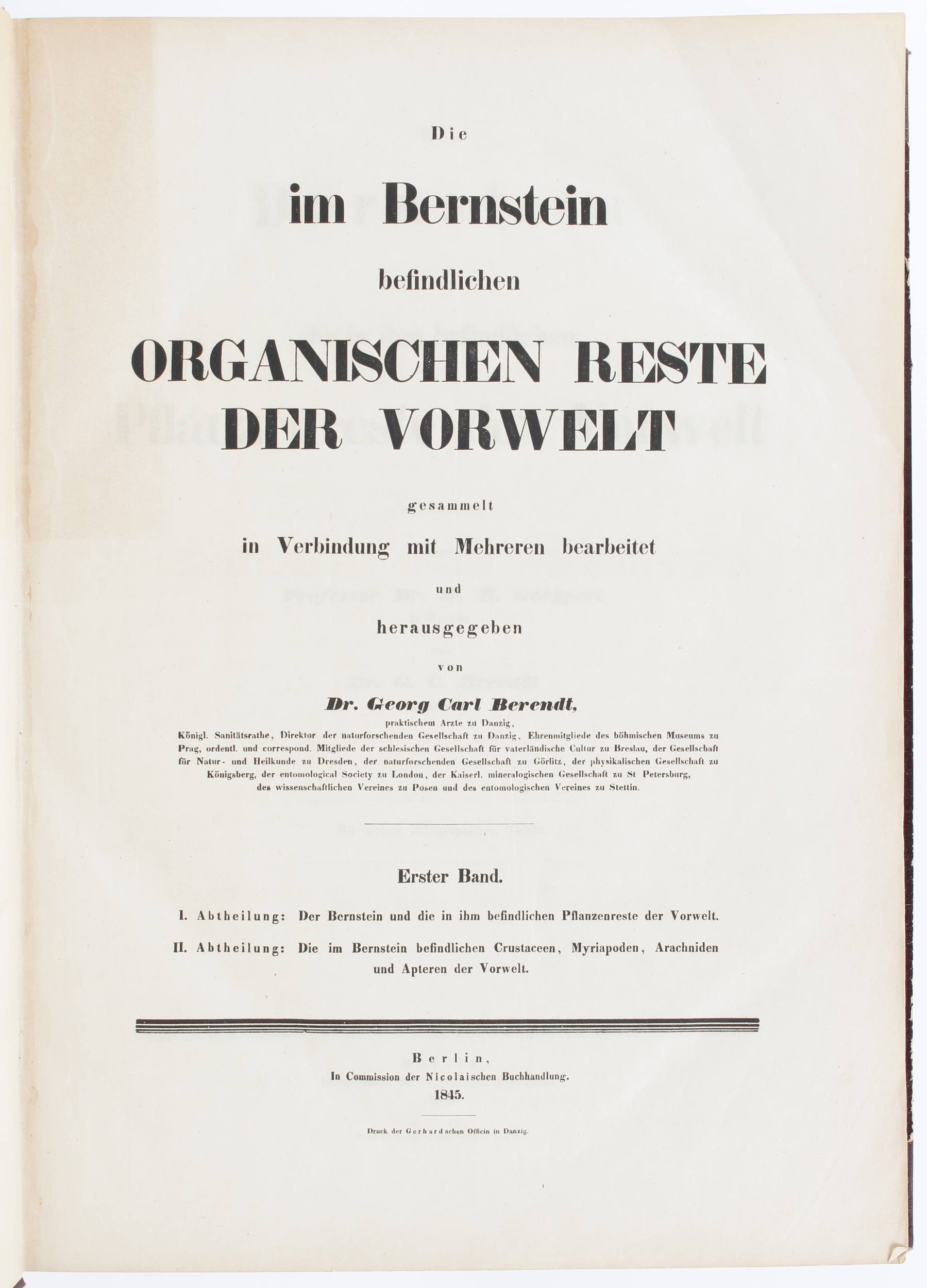 Berendt, Die im Bernstein befindlichen Reste