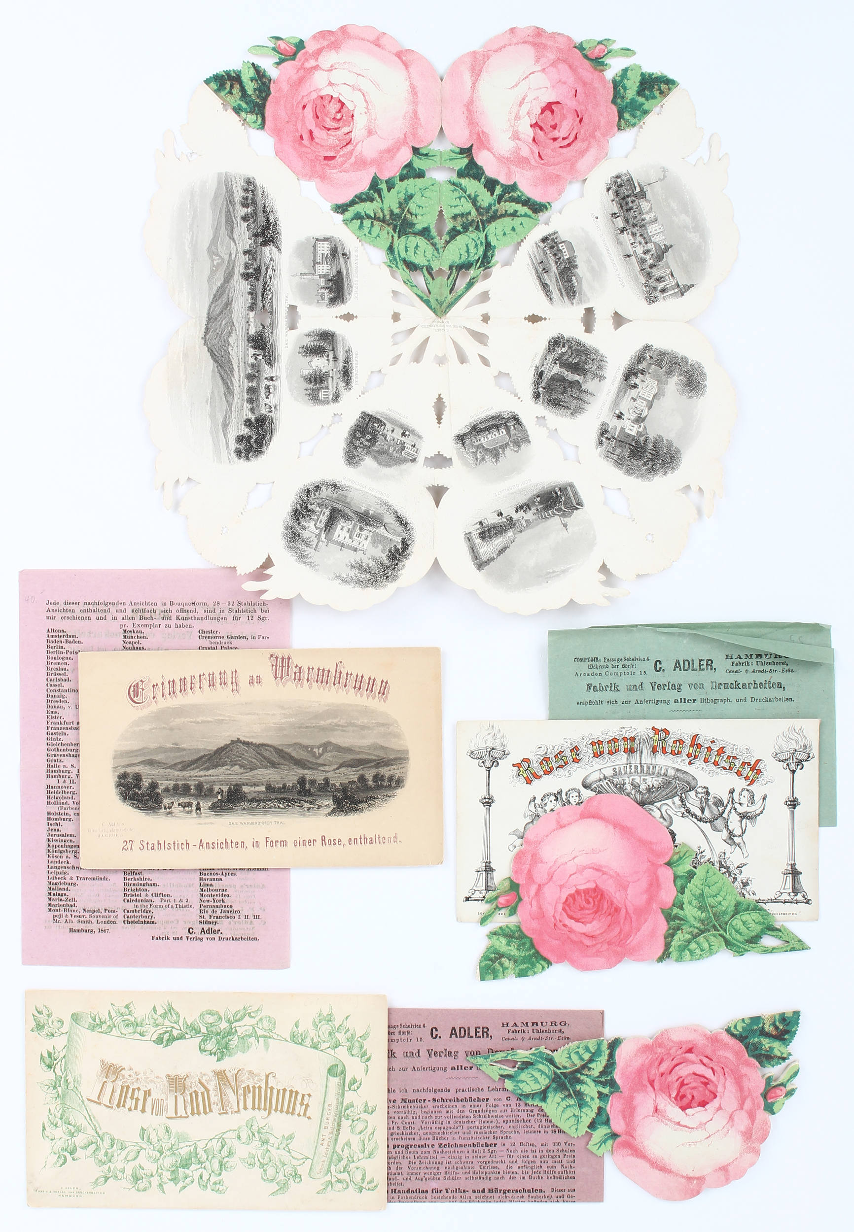 Warmbrunn / 3 Souvenirrosen