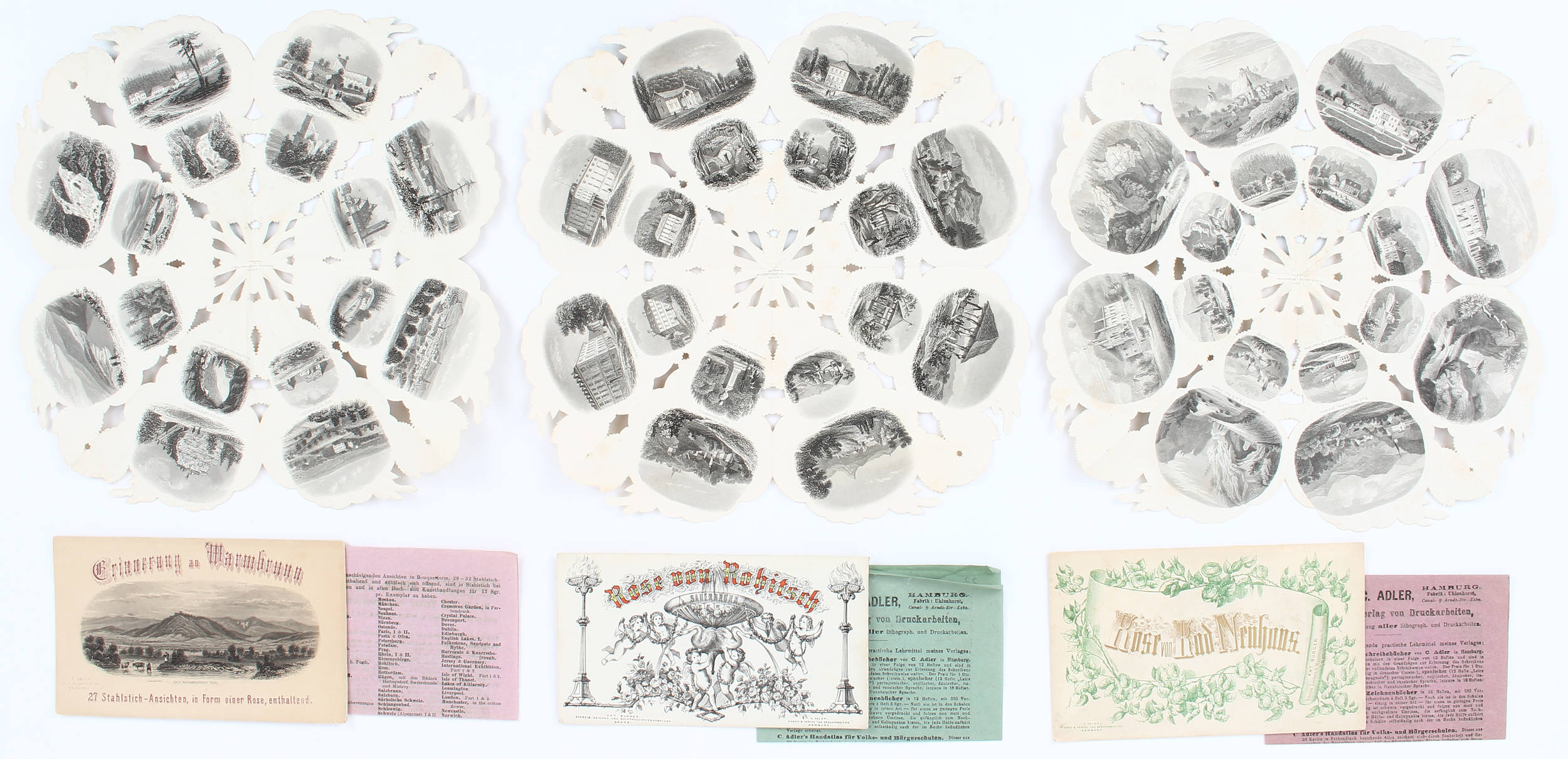 Warmbrunn / 3 Souvenirrosen