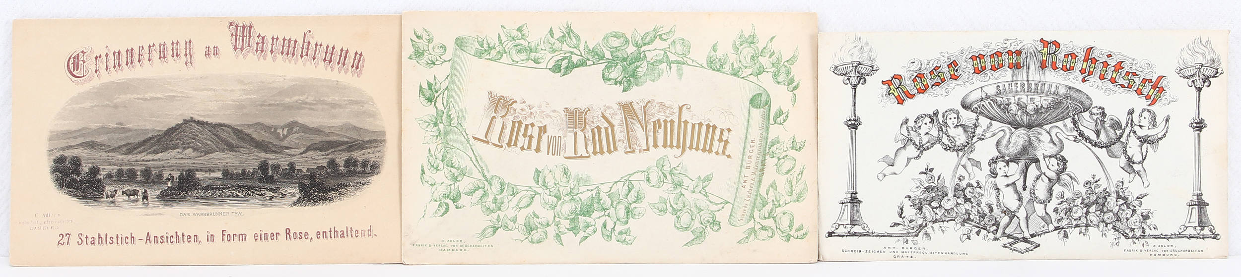 Warmbrunn / 3 Souvenirrosen