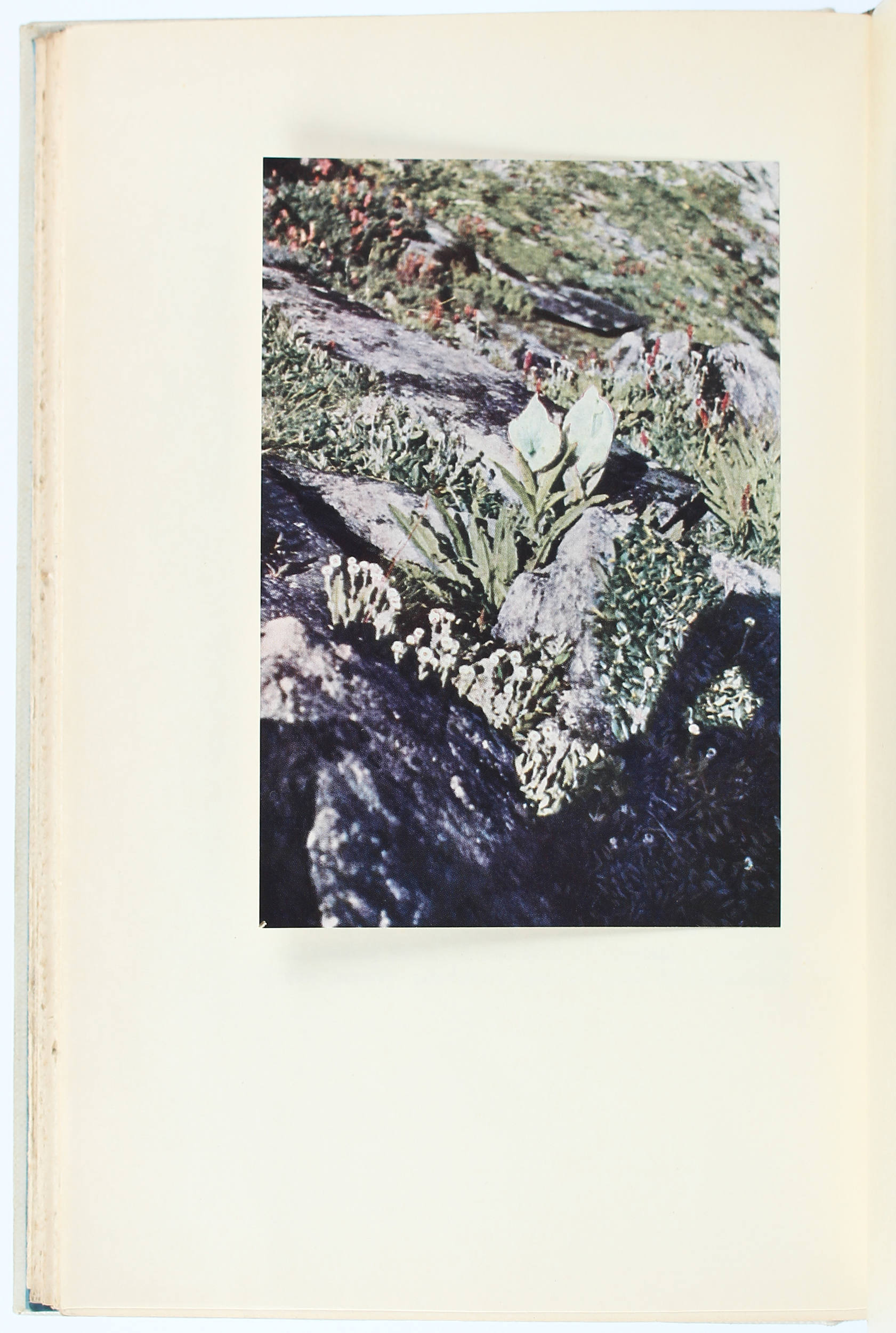 Smythe, The valley of flowers / 2 Bde.