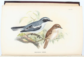 Henderson, G. u. A. O. Hume