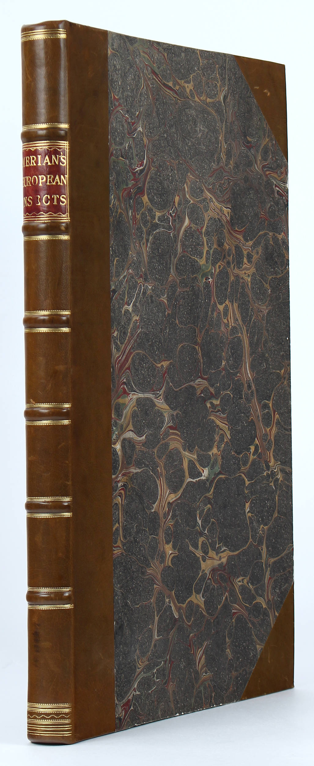 Merian, Europäische Insecten