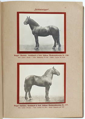 Deutsche Tierrassen. 1 Bd.