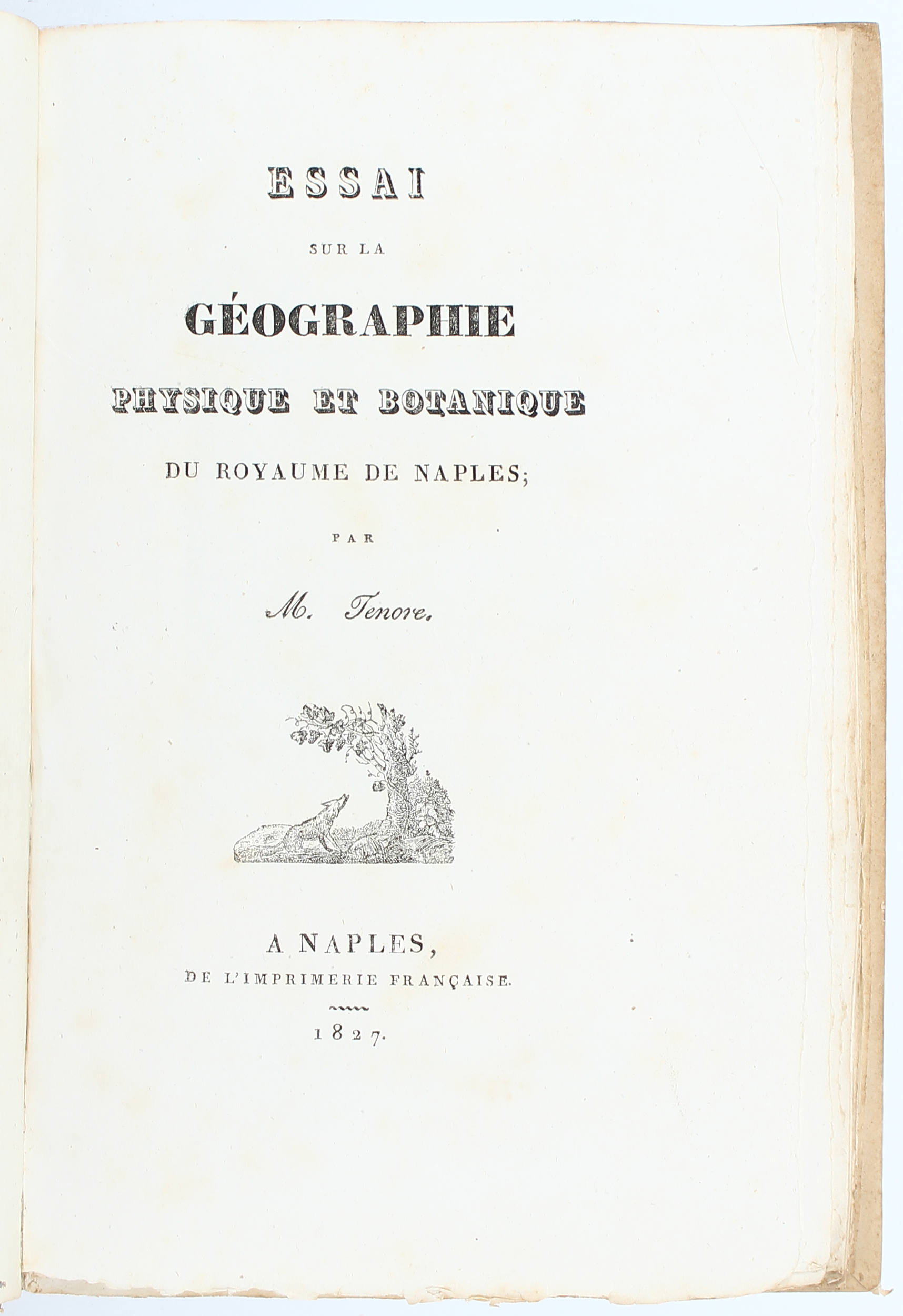 Tenore, Essai sur la géographie physique et botanique