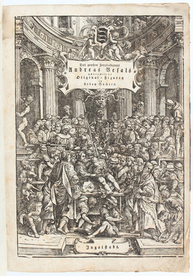Vesalius/Leveling, Anatomische Erklärung