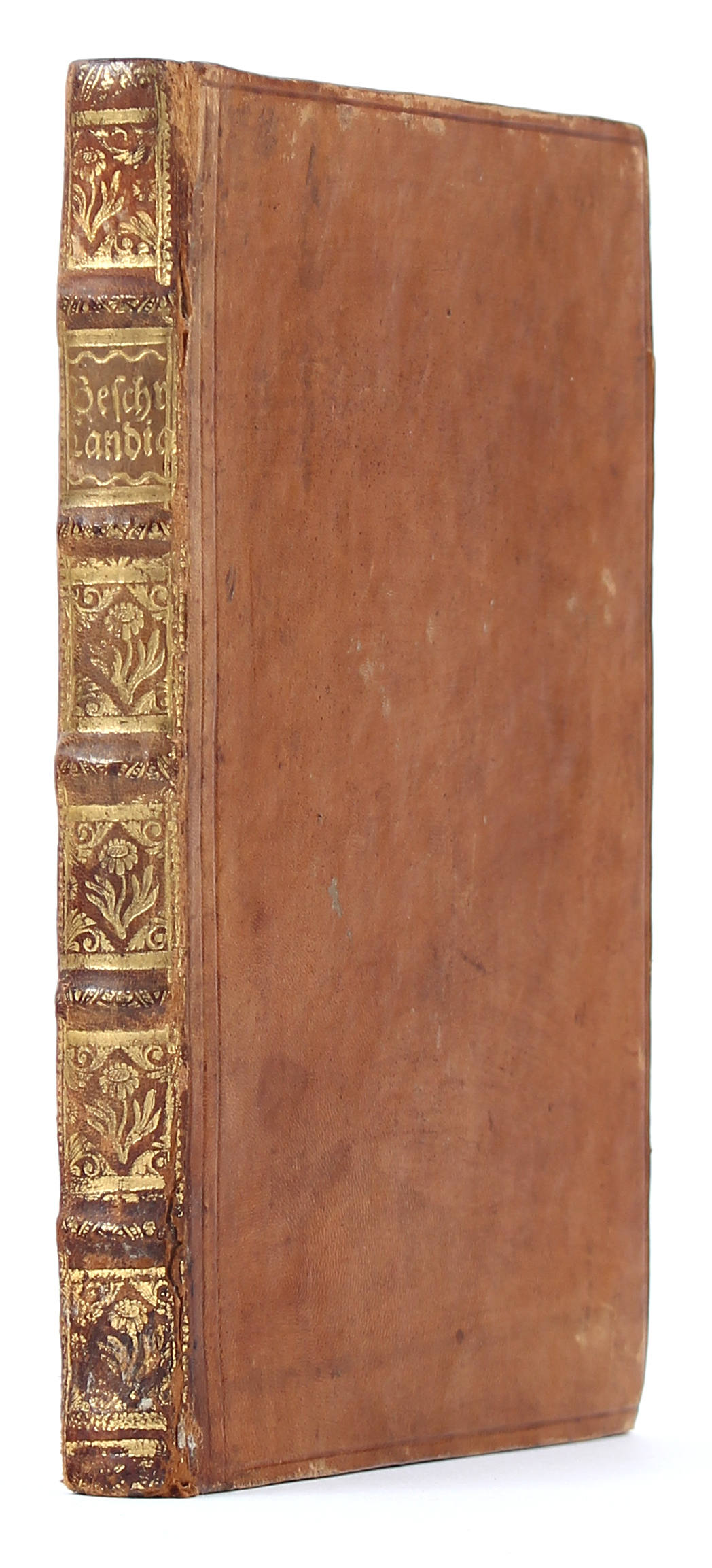(Palmer) of Castlemaine, Candia