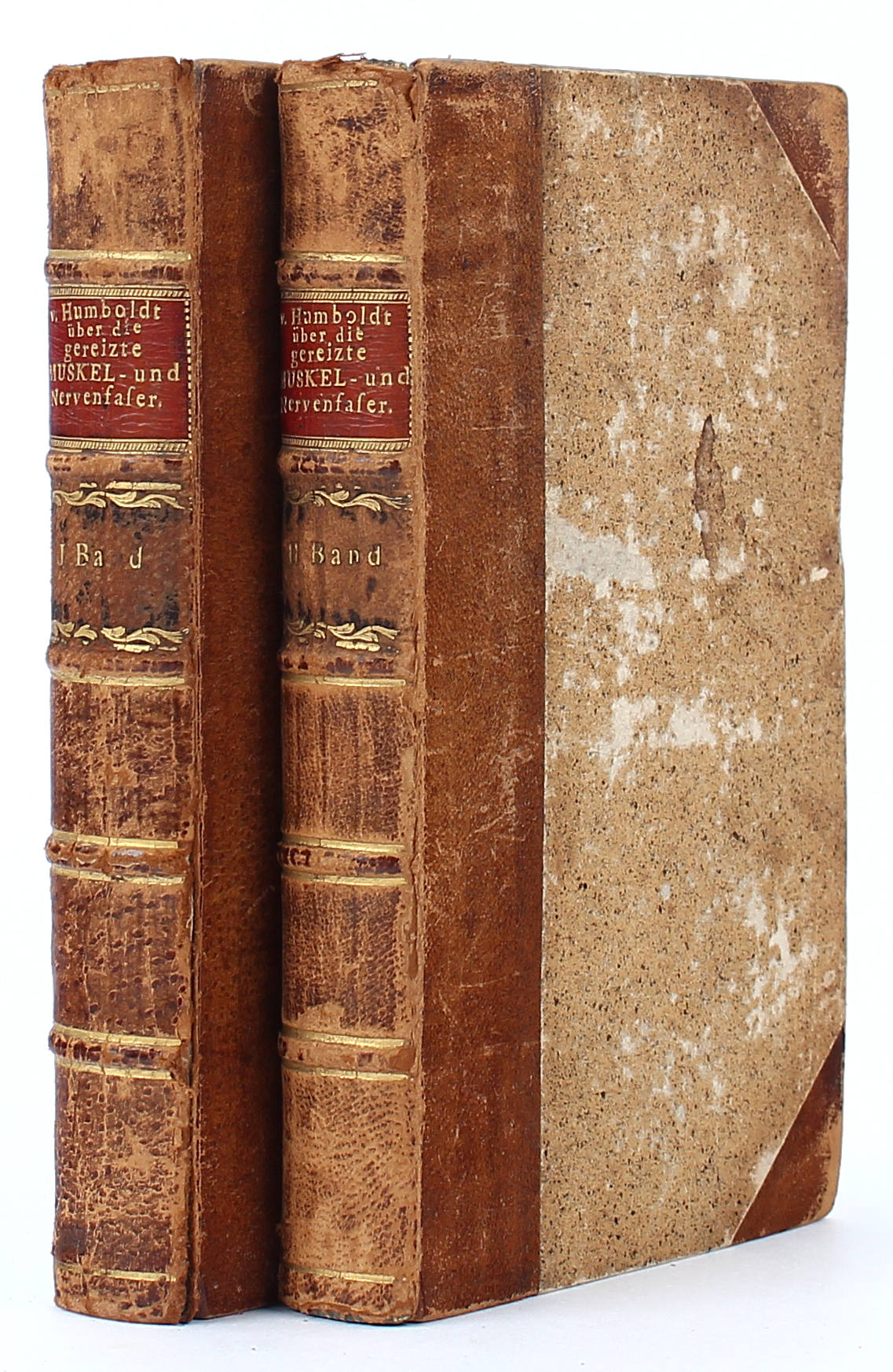 Humboldt, Muskel- u. Nervenfaser. 2 Bde.