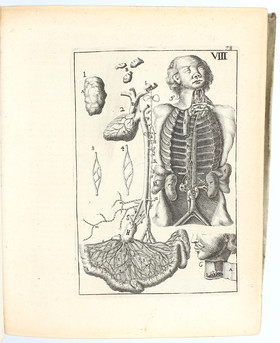 Verheyen, Corporis humani anatomiae